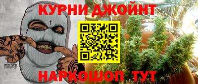 молекула духа Пугачёв