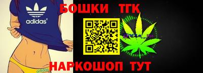 молекула духа Пугачёв